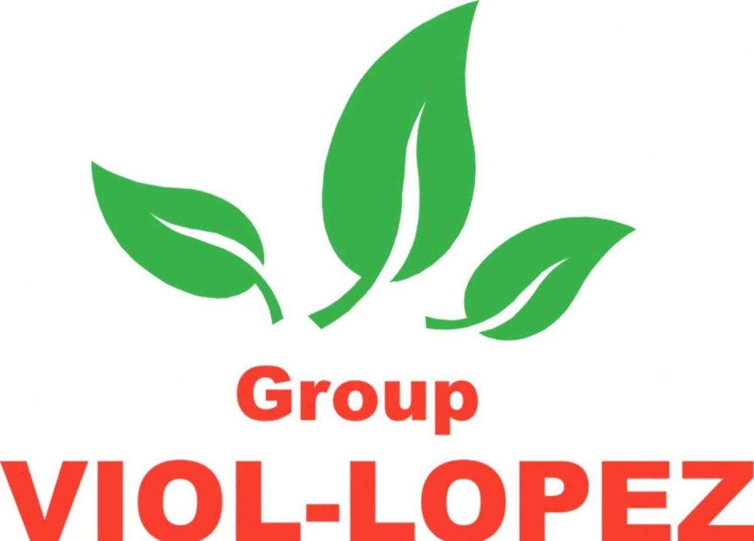 GROUP VIOL-LOPEZ